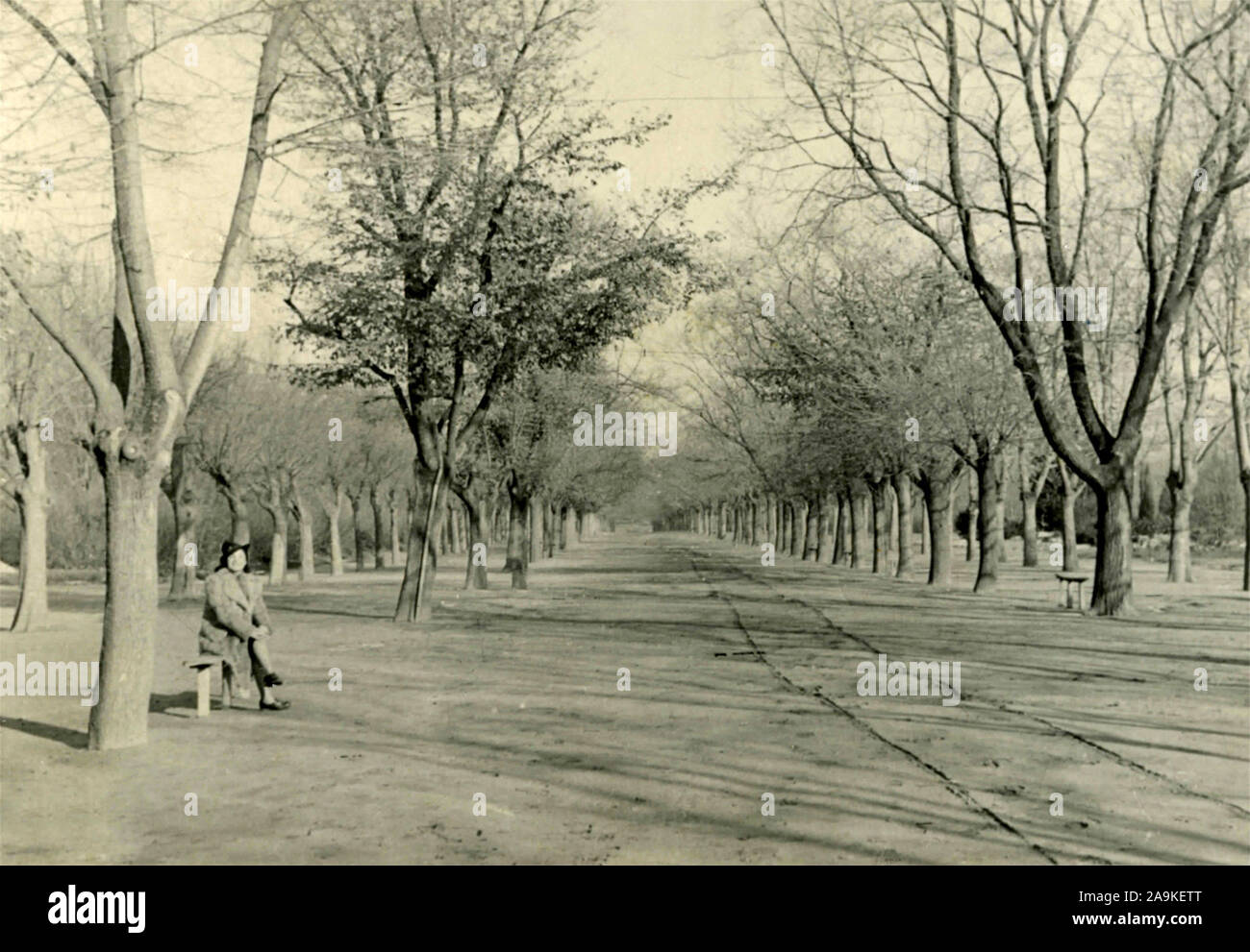 Il viale del parco di Varna, Bulgaria Foto Stock