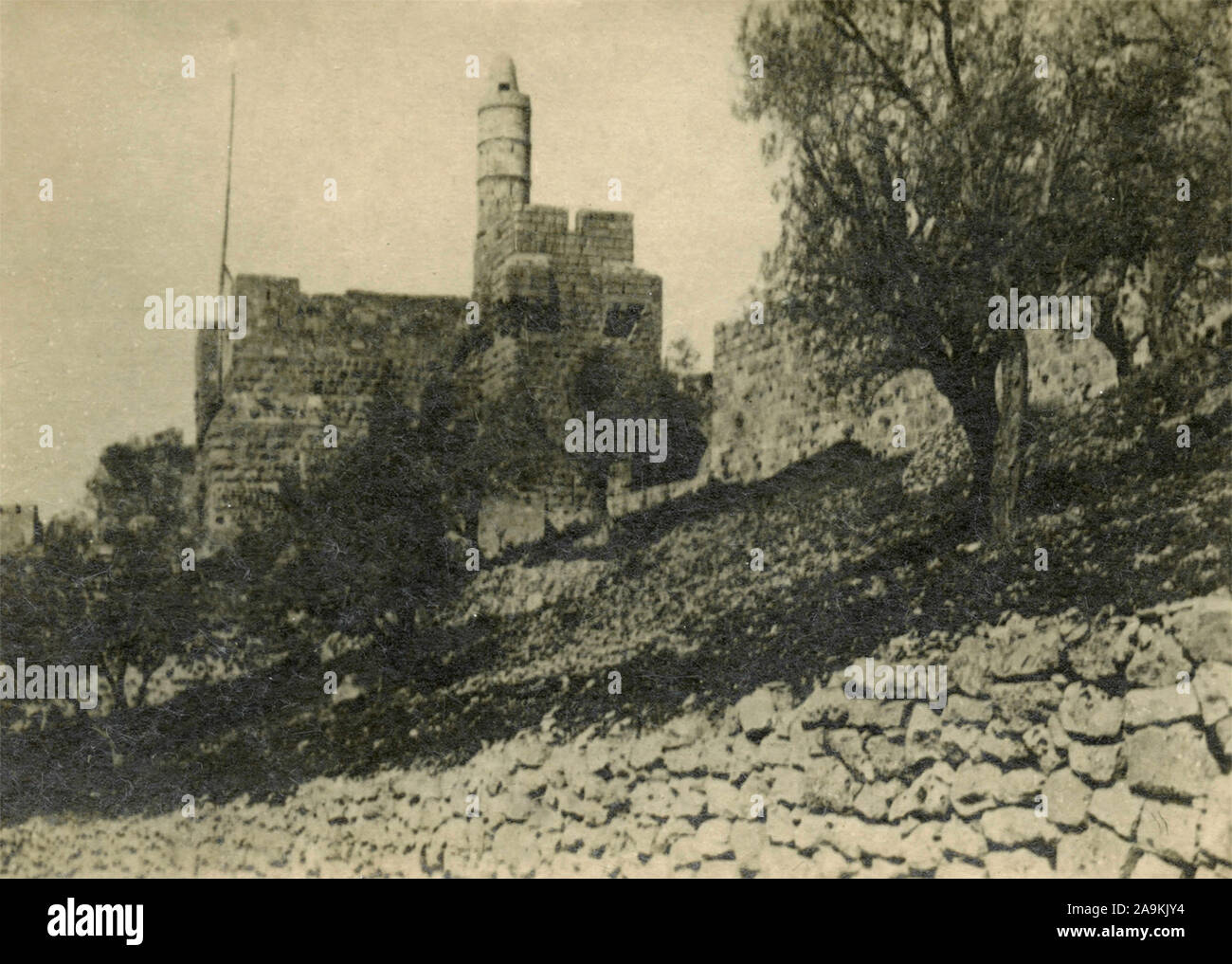 La torre di Davide e la cittadella di Gerusalemme Foto Stock La torre di Davide e la cittadella di Gerusalemme Foto Stock