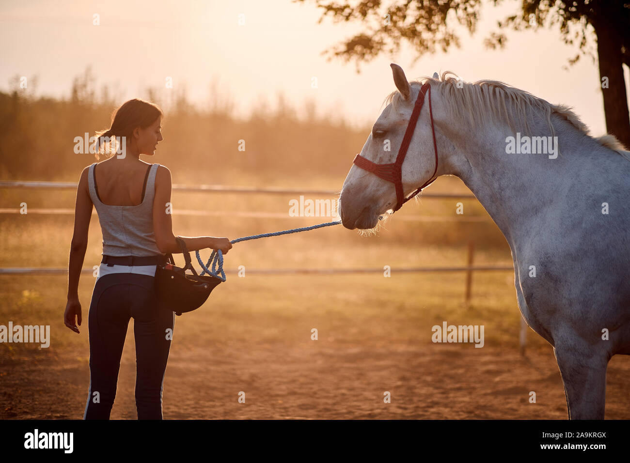 Bella donna che conduce il suo cavallo, umano rapporto di cavallo Foto Stock