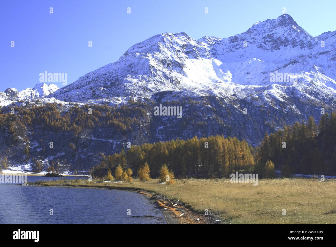 Herbststimmung am idyllischen Silsersee im Oberengadin Foto Stock