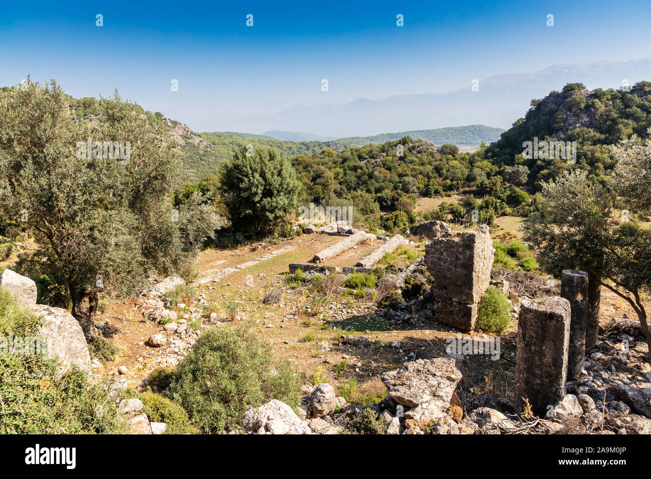 Rovine del tempio di antica città di Pinara in Turchia con cuore colonna sagomata in primo piano. Foto Stock