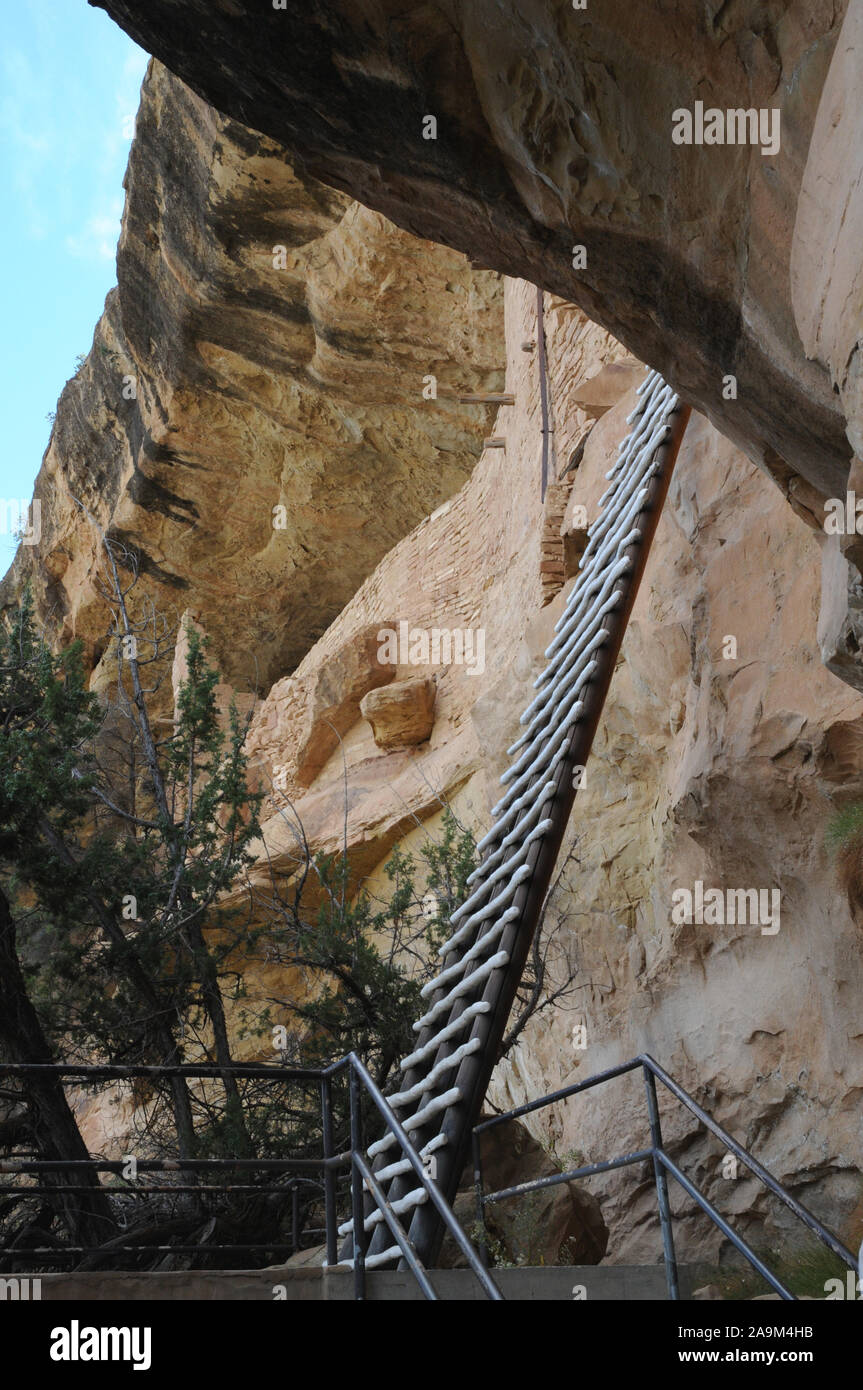 Balcone casa in Mesa Verde National Park, Colorado sono ancestrali rovine pueblo. Un ranger del gruppo di derivazioni si arrampica su uno dei siti lungo le scale. Foto Stock