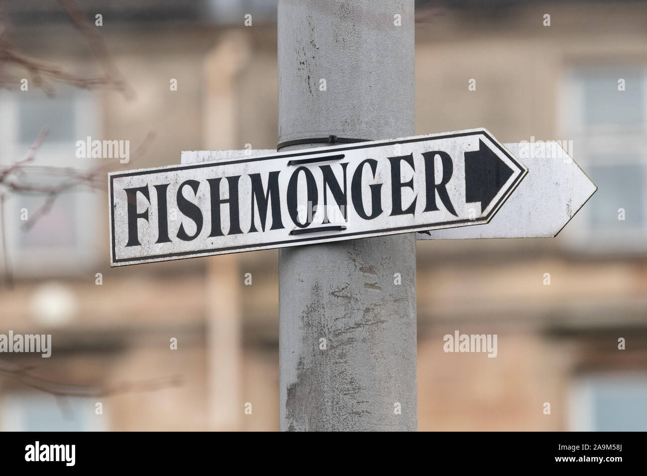 Pescivendolo segno che puntano a Wilson il pescato del giorno, Finnieston, Glasgow, Scotland, Regno Unito Foto Stock