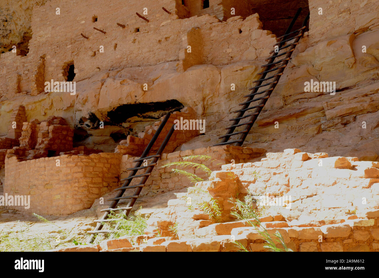 La scogliera dimora conosciuta come la casa lunga nel Wetherill Mesa settore del Parco Nazionale di Mesa Verde nel sud-ovest del Colorado, Stati Uniti d'America. Foto Stock