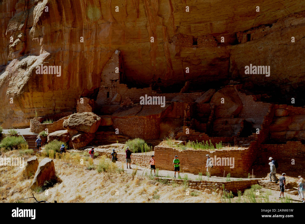 La scogliera dimora conosciuta come la casa lunga nel Wetherill Mesa settore del Parco Nazionale di Mesa Verde nel sud-ovest del Colorado, Stati Uniti d'America. Foto Stock