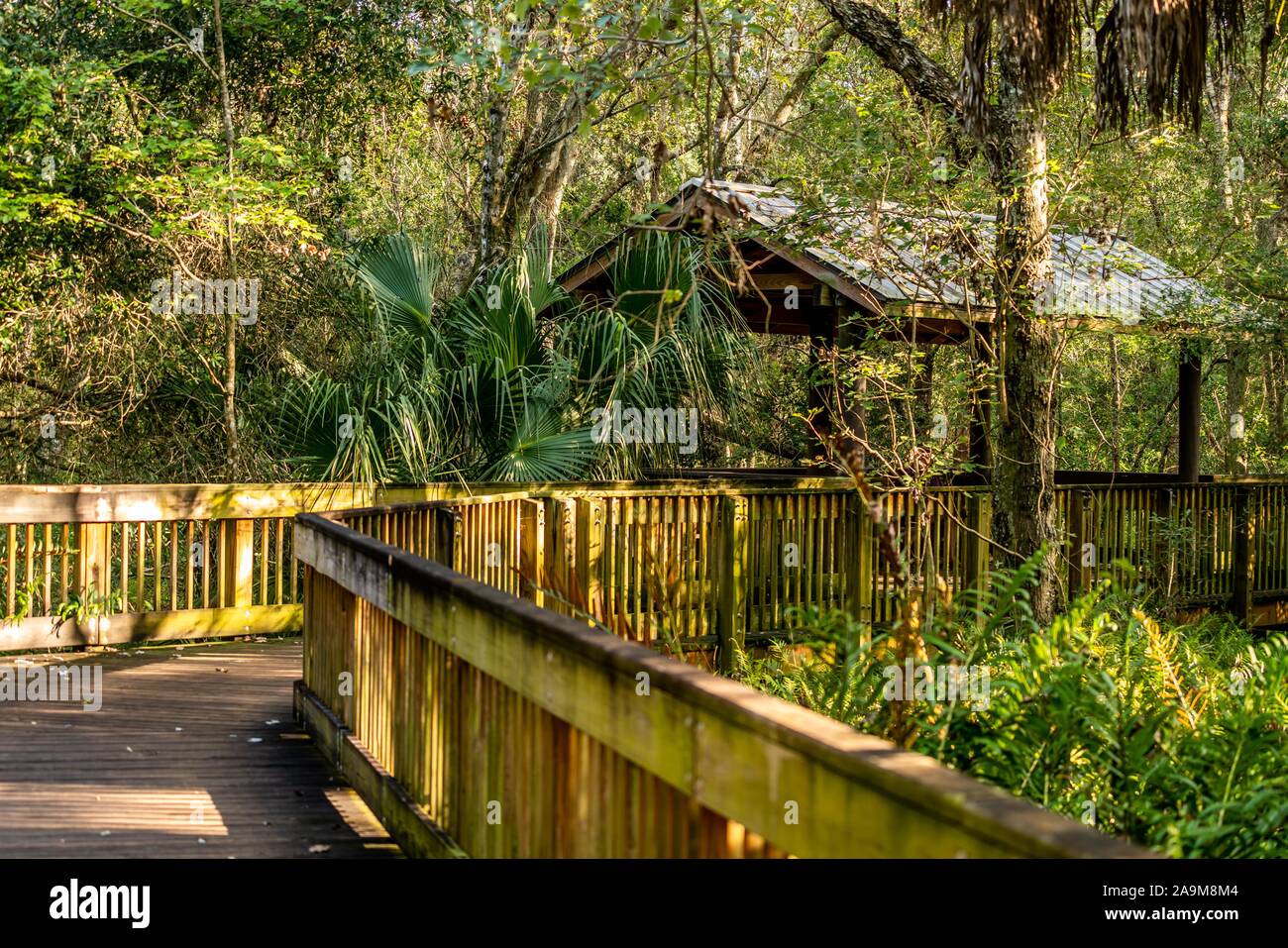 Molto naturali e artificiali in bellezza potrete vedere come si cammina lungo i sentieri di Sawgrass Lake Park. Foto Stock