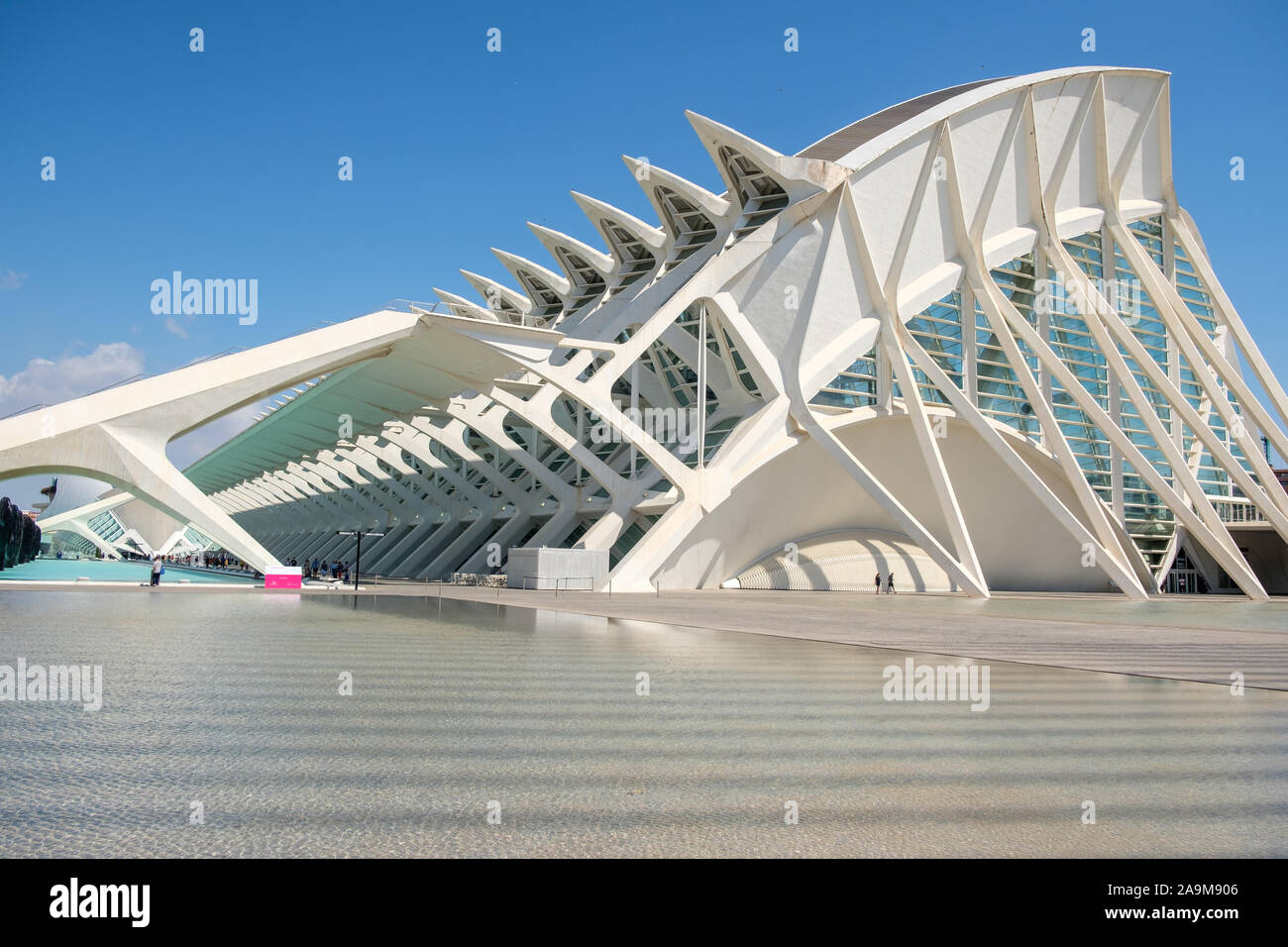 Museo de las Ciencias Príncipe Felipe (Museo della Scienza Principe Felipe), nella Città delle Arti e delle Scienze di Valencia, Spagna Foto Stock