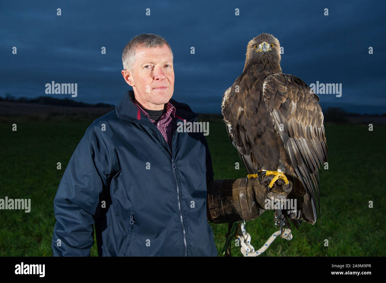 Glasgow, Regno Unito. Il 16 novembre 2019. Nella foto: Willie Rennie MSP - Leader della Scottish Liberal Democratici partito, posa con Stanley l'Aquila. Scottish Liberal Democratici Leader Willie Rennie visiti The Falconry Centre di Cluny per evidenziare la minaccia Brexit pone sull'ambiente e la perdita di biodiversità. Credito: Colin Fisher/Alamy Live News Foto Stock