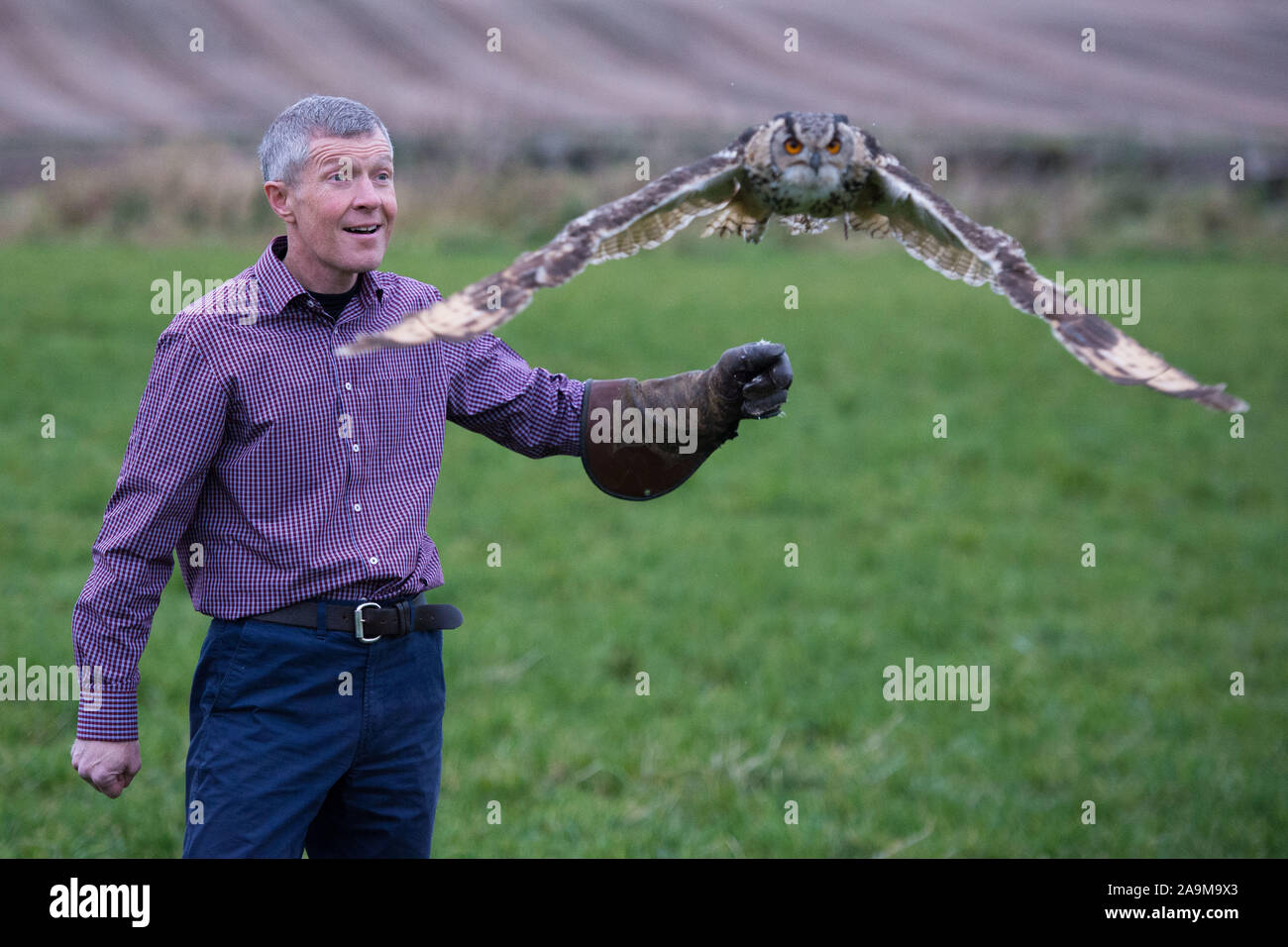 Glasgow, Regno Unito. Il 16 novembre 2019. Nella foto: Willie Rennie MSP - Leader della Scottish Liberal Democratici partito, posa con la salvia Il Gufo. Scottish Liberal Democratici Leader Willie Rennie visiti The Falconry Centre di Cluny per evidenziare la minaccia Brexit pone sull'ambiente e la perdita di biodiversità. Credito: Colin Fisher/Alamy Live News Foto Stock