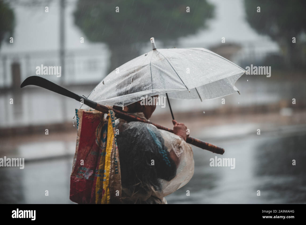 Sapa, Vietnam - 13 Ottobre 2019: Un vecchio uomo asiatico sotto un ombrello si allontana dalla telecamera sotto la pioggia battente nella piccola città di sapa Foto Stock
