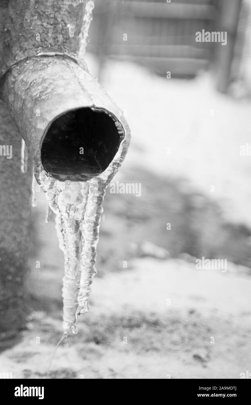 Tubo di drenaggio su un angolo della casa coperto con uno spesso strato di ghiaccio con un ghiaccioli. Foto Stock