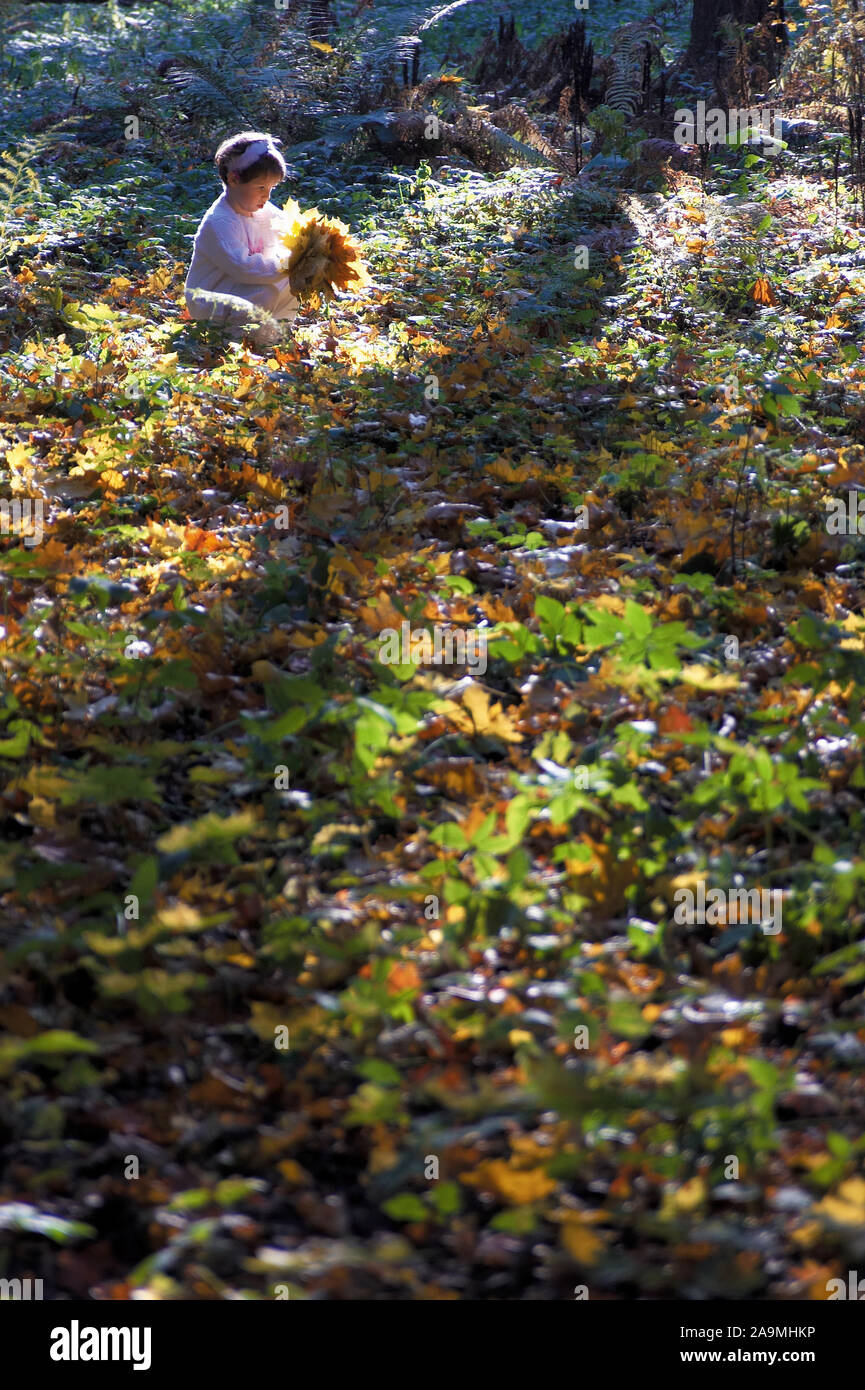 Prato in autunno la foresta, la ragazza seduta tenendo un mazzo di foglie Foto Stock