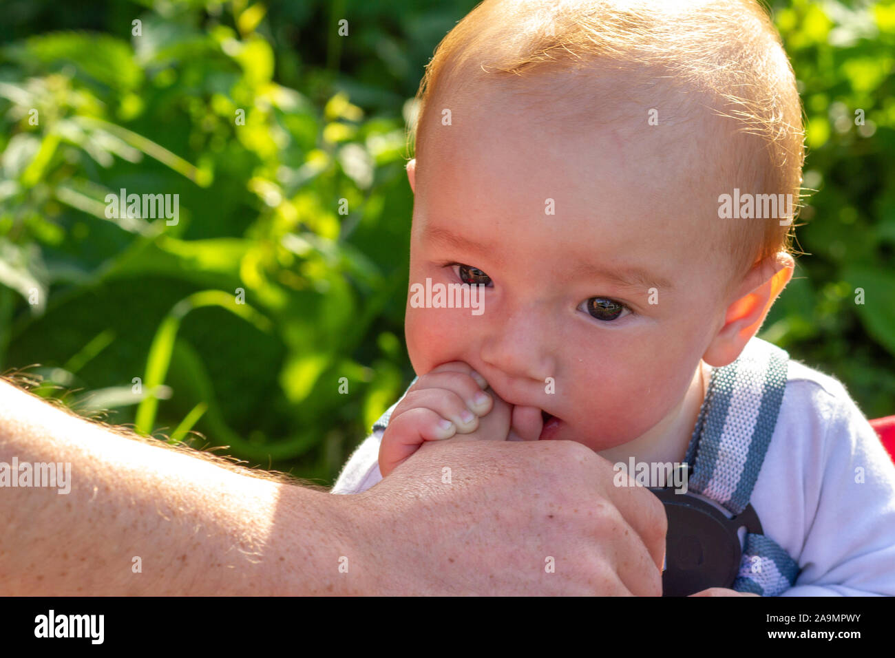Bambino che esplora il gusto dei suoi padri pollice Foto Stock