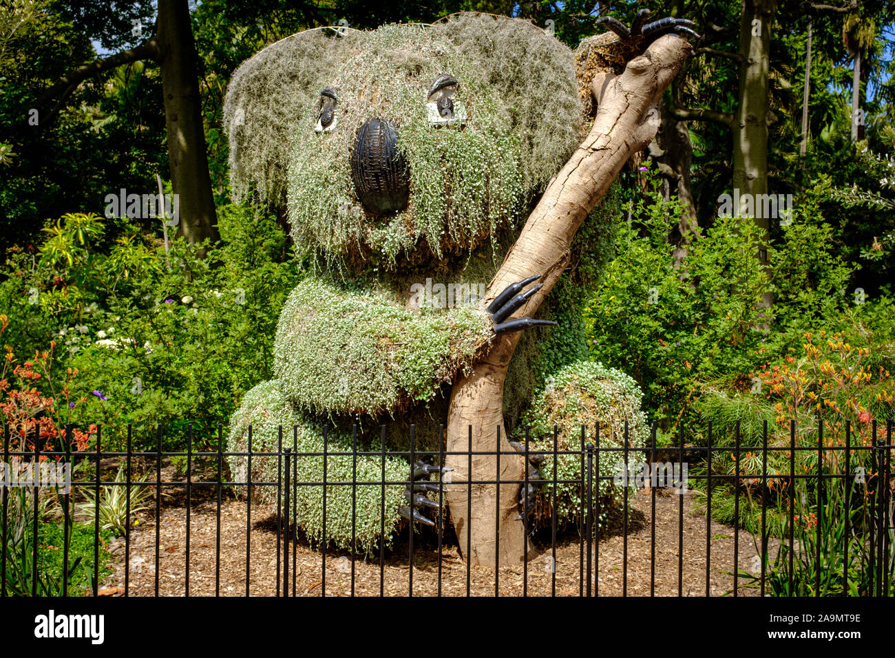 Sydney, Australia - 16 Novembre 2019: koala scultura fatta di piante, parte di un Ciao Koala trail Sydney Royal Botanic Gardens Foto Stock