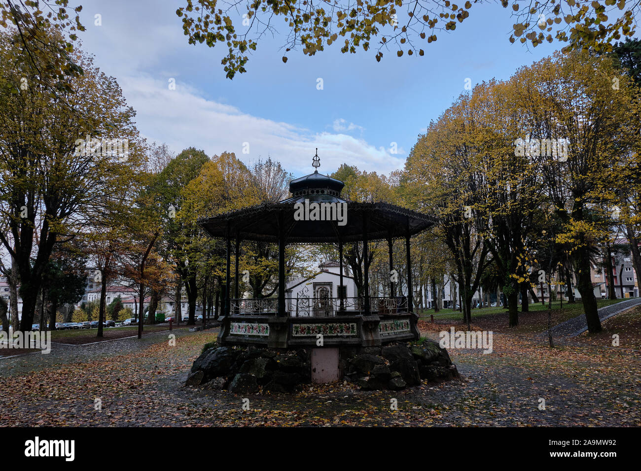 In autunno, la migliore stagione dell'anno, foglie secche e paesaggi di tutto il mondo sono verniciati in giallo ocra e. Foto Stock