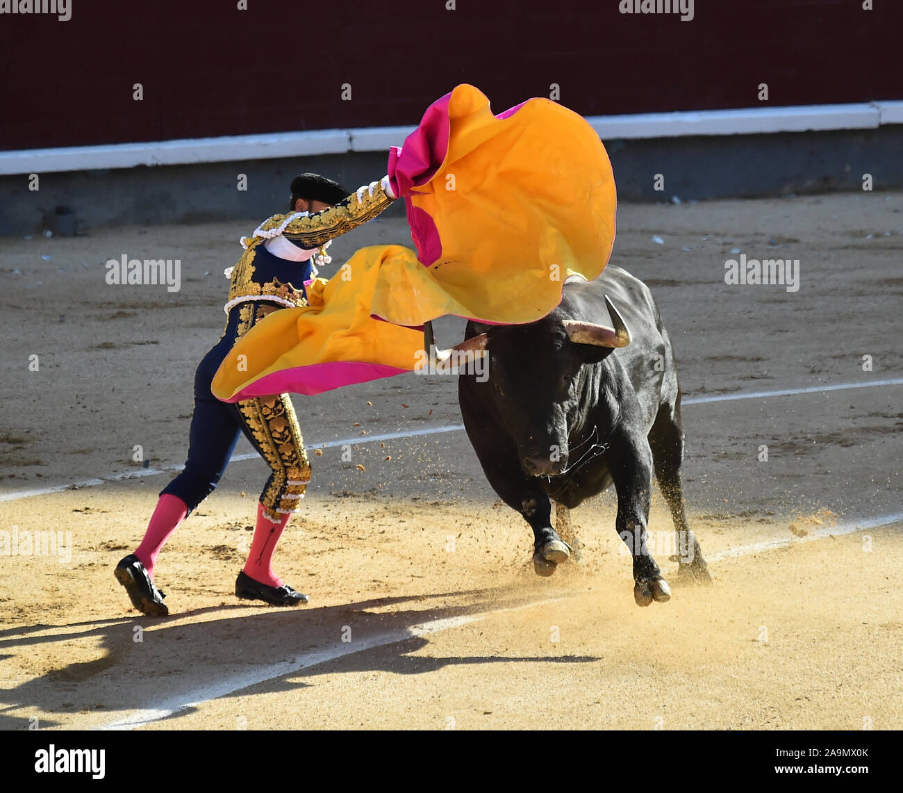 La corrida in Spagna Foto Stock