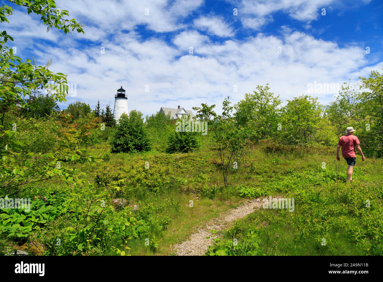 Escursionista a Dyce Capo Faro di Penobscot Bay, Castine, Maine, Foto Stock