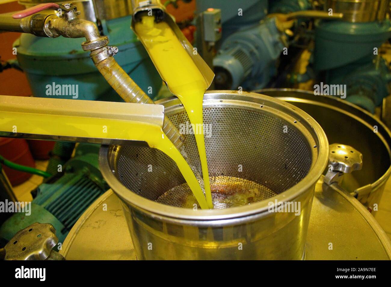 Olio extra vergine di oliva procedimento di estrazione dell' olio d' oliva Frantoio in Grecia. Foto Stock