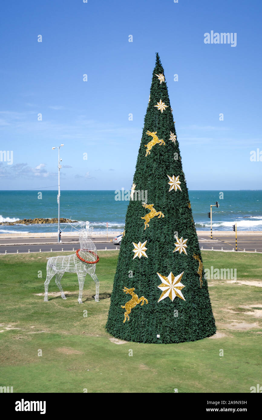 Cartagena de Indias, Bolivar/Colombia, Dicembre 13, 2017: un albero di Natale decorato e una renna di luce a Cartagena al di fuori delle mura della città e fo Foto Stock