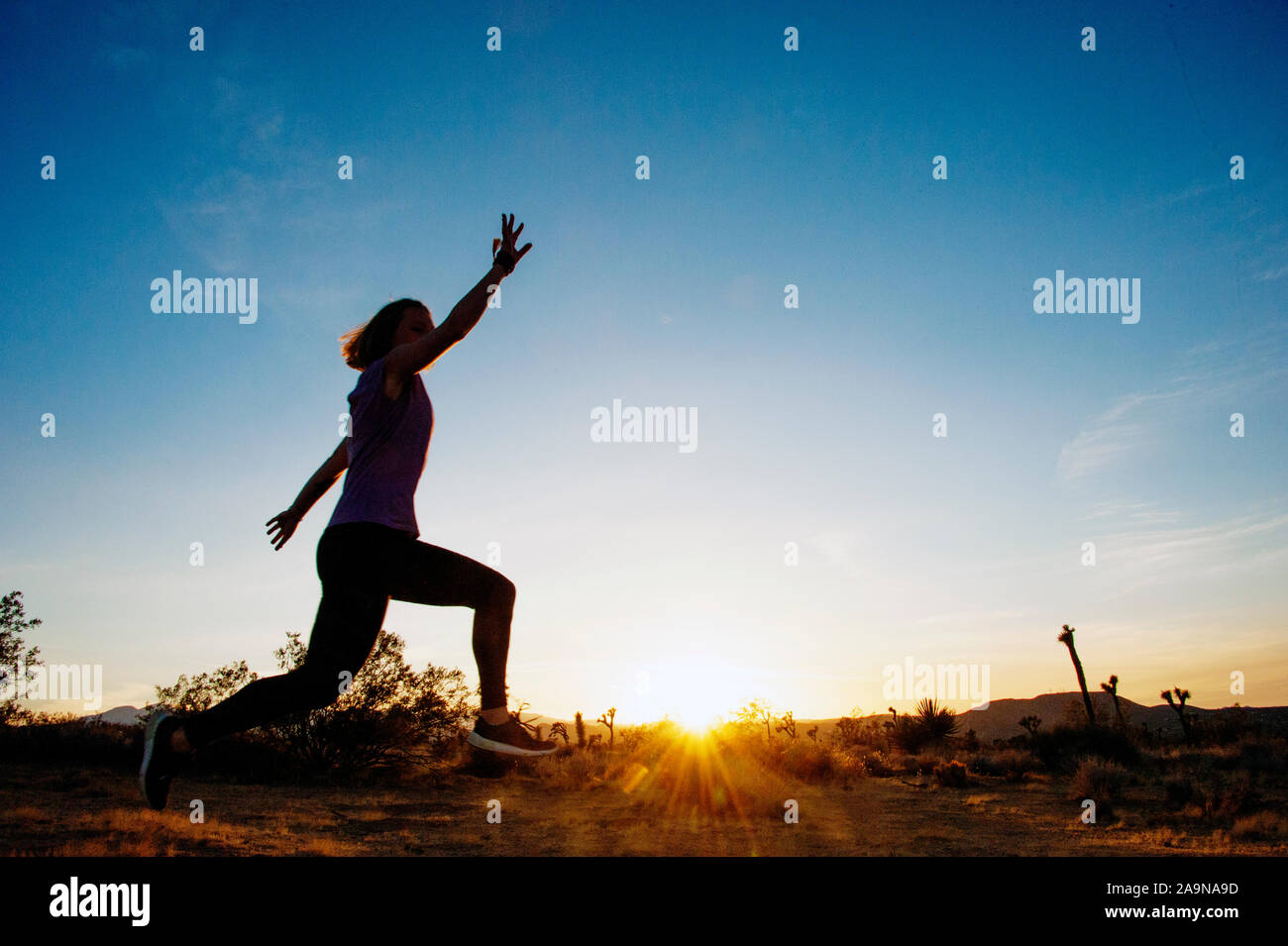 Giovane donna felice eseguire il salto nel deserto di Mojave Joshua Tree, CA USA. Big Sky. Foto Stock