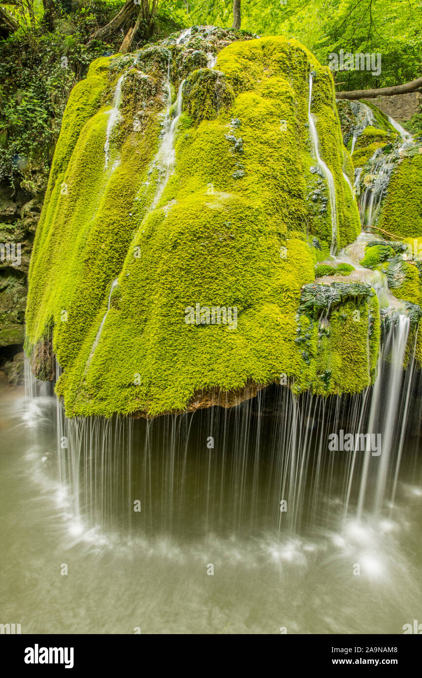 Cascata Bigar, unica mossy cascata in Cheile Nerei-Beusnita National Park, Romania, Caros Severin Regione Foto Stock