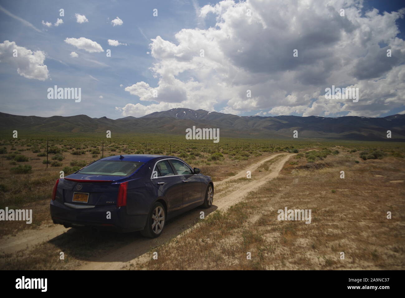 Cadillac nel deserto Foto Stock
