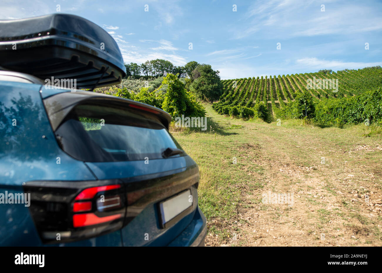 Auto turistiche nei vigneti. Campagna e auto con bagagliaio sulla parte superiore. Turismo rurale concetto con auto e uve da vino su sfondo. Concetto di viaggio. Foto Stock