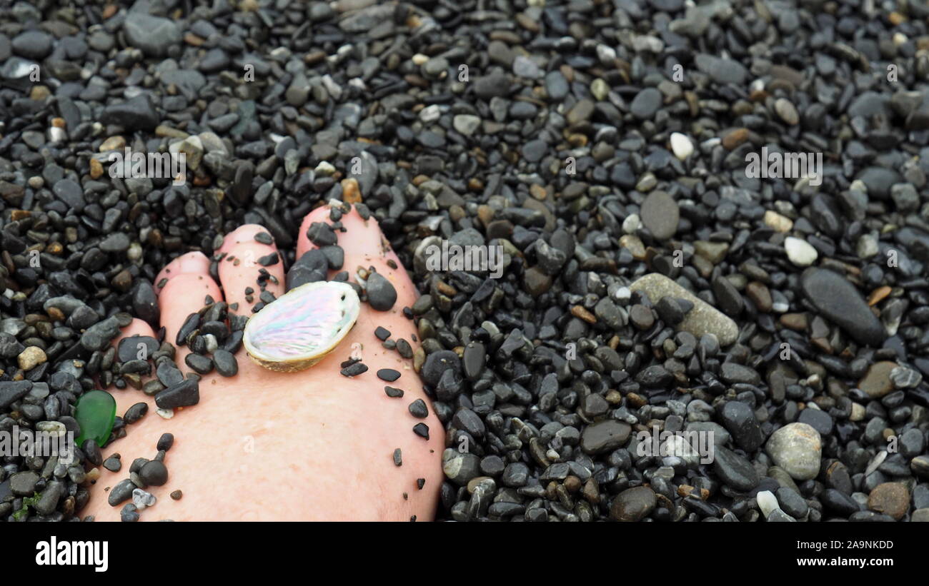 Dopo una paletta su una calda e giornata piovosa, due comuni NZ beach voci su un piede: una piccola conchiglia paua e un pezzo di vetro verde da una bottiglia di birra. Foto Stock