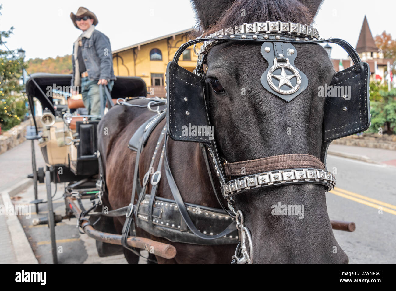 Gite in carrozza trainata da cavalli sono una popolare attività turistica in Helen, Georgia, una in stile bavarese città nel nord della Georgia montagne. (USA) Foto Stock