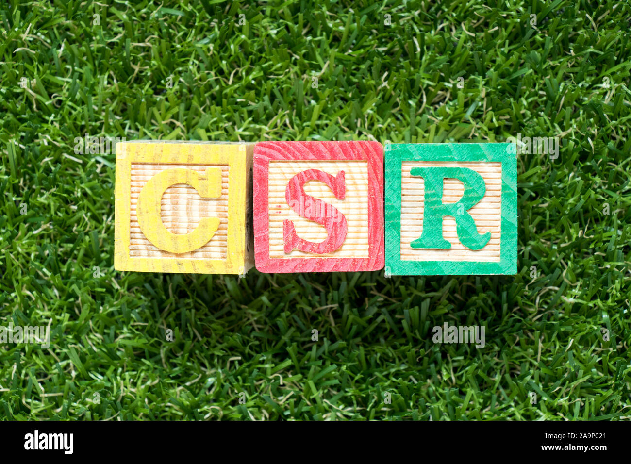 Colore blocco di legno in parola CSR (Abbbreviation della responsabilità sociale delle imprese) su artificiali erba verde sullo sfondo Foto Stock