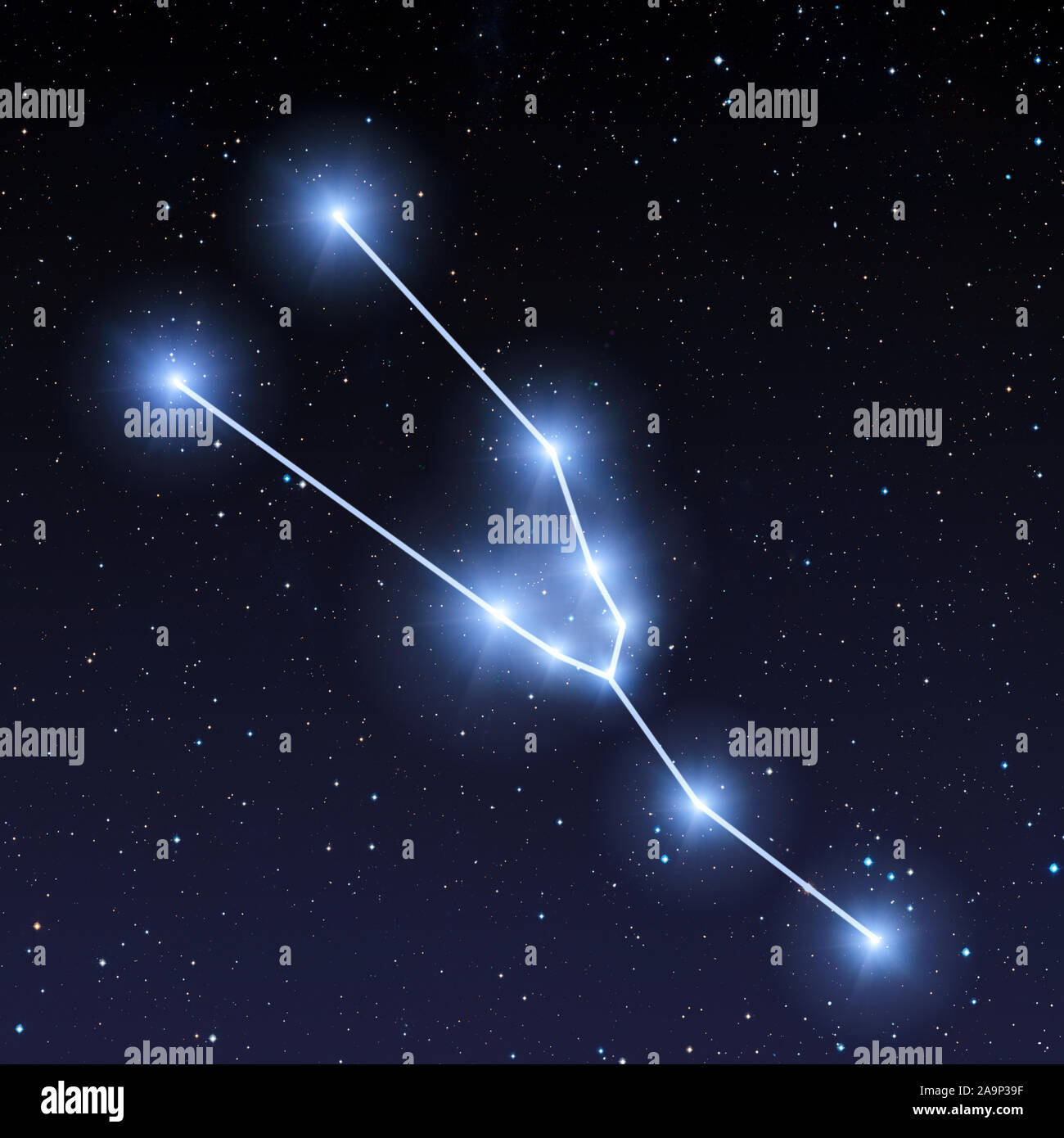 Costellazione del Toro nel cielo notturno con blu brillante stelle Foto Stock