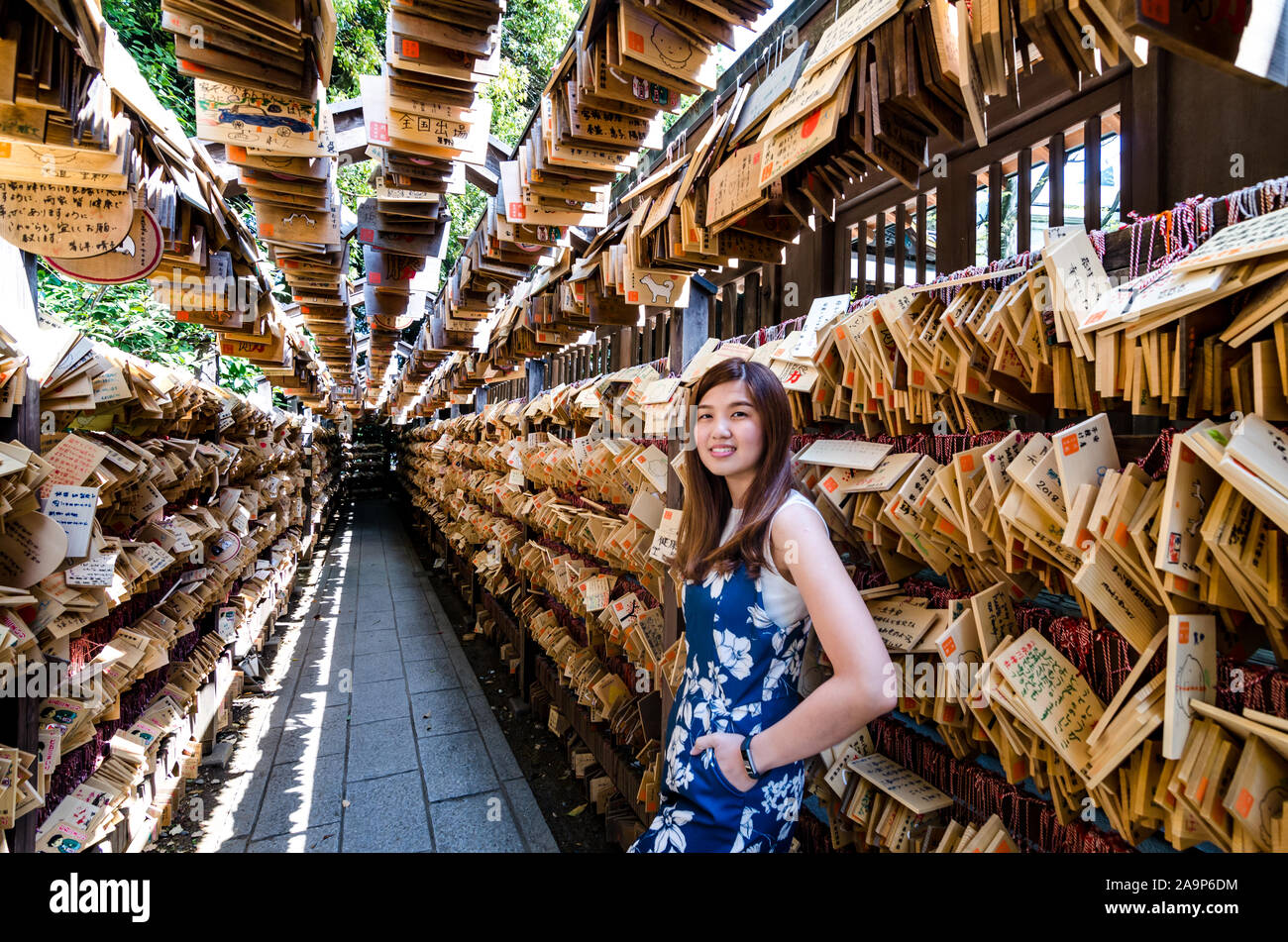 Un tunnel pieno di piastra di benedizione al Santuario di Hikawa a Kawagoe. Le preghiere al santuario di Hikawa sono per una benedizione d'amore - Prefettura di Saitama Foto Stock