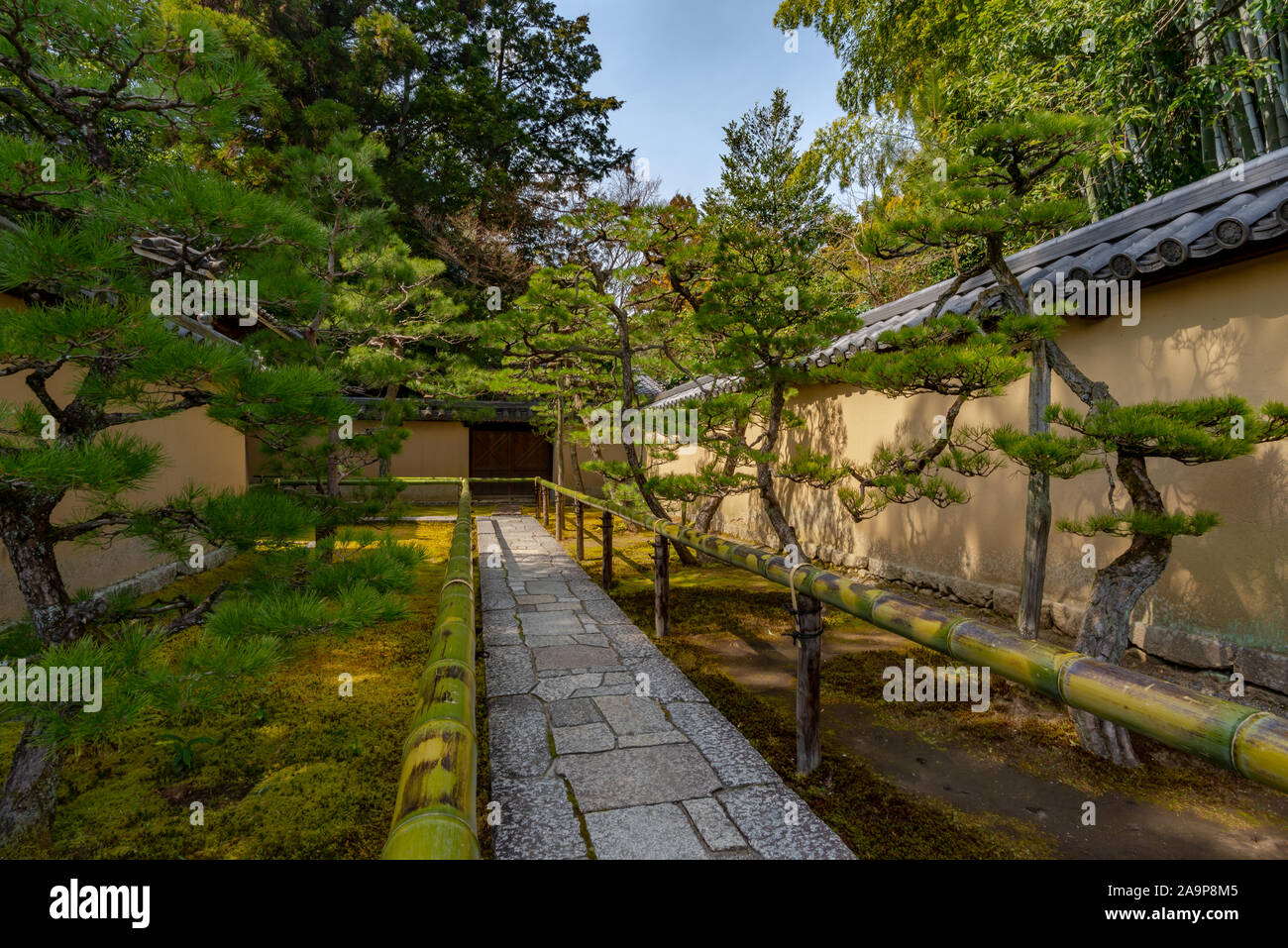 Kyoto, Giappone - 18 marzo 2017, un sentiero del Daitoku-ji il giardino zen con ombra di alberi di pino su una parete e prese durante un assolato pomeriggio di primavera Foto Stock
