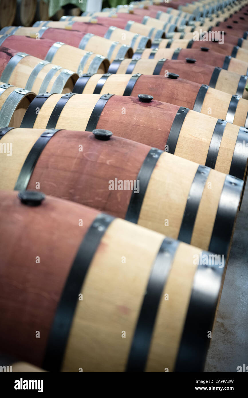 In legno barili di vino per lo stoccaggio in cantina Foto Stock