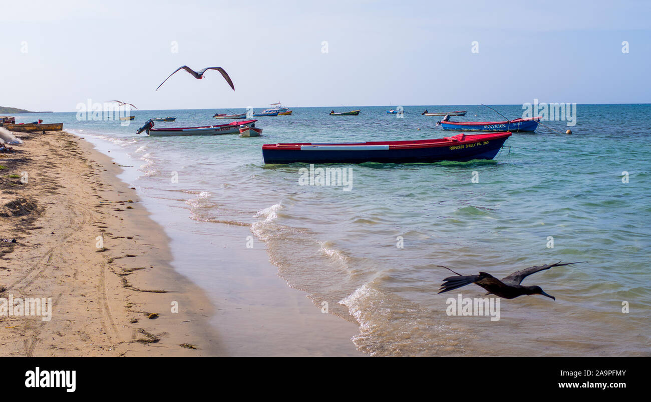 Barche da pesca ormeggiate lungo Fisherman's Beach, Runaway Bay, Giamaica Foto Stock
