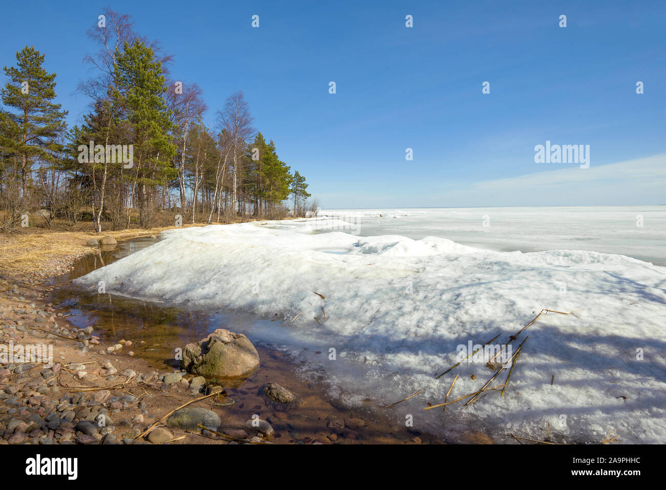 Aprile giornata di sole sulla riva del lago Ladoga. La Russia Foto Stock