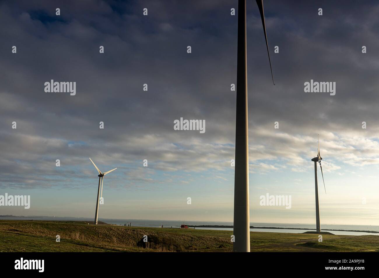Mulini a vento nei Paesi Bassi, Neeltjejans Deltawerken. Foto Stock