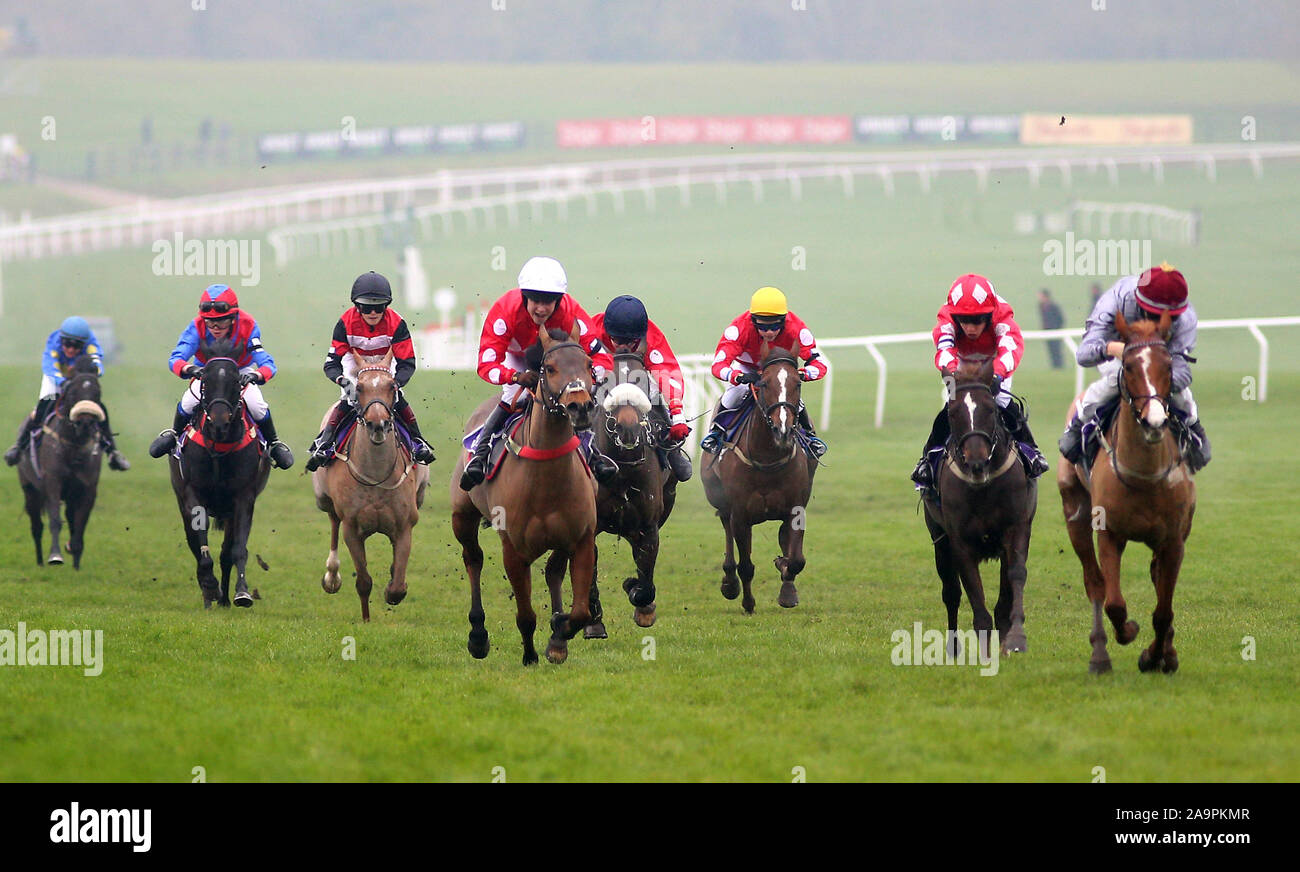 Little Anne cavalcato da Harry Davies (destra) sul modo di vincere il Charles Owen Pony gara 138cm & sotto durante la riunione di novembre a Cheltenham Racecourse, Cheltenham. Foto Stock