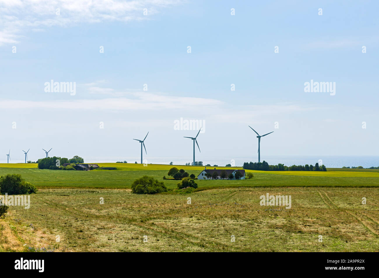 Bornholm Rutsker, Felder, Weide, Bauernhof, Windpark Foto Stock