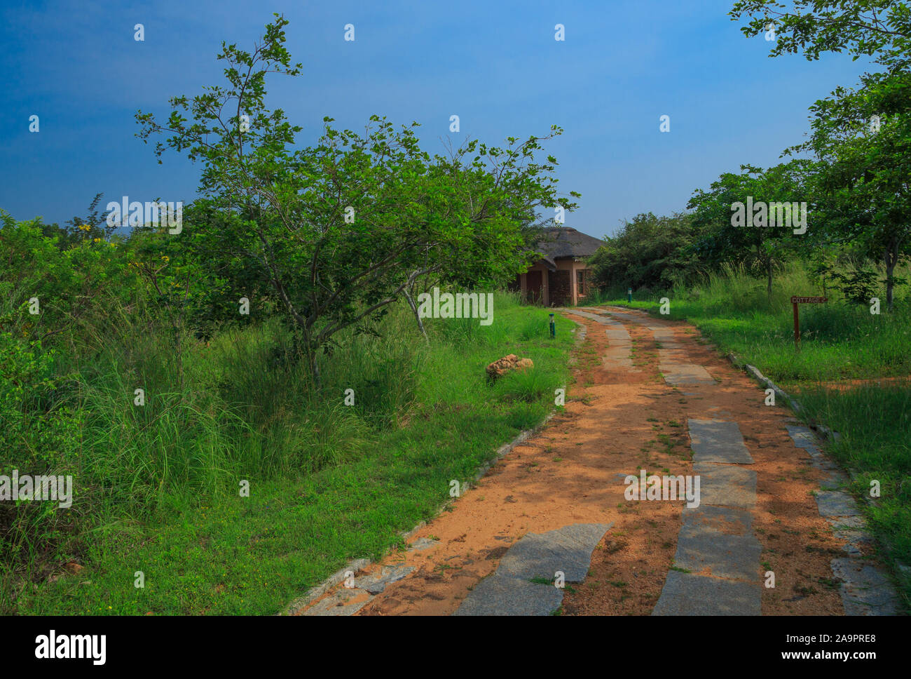 Un sentiero che conduce ad un cottage Foto Stock
