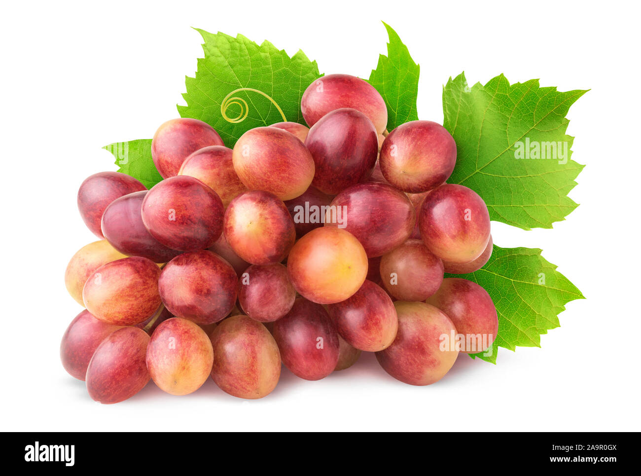 Uve isolato. Grappolo di uva rosa con foglie isolato su sfondo bianco con tracciato di ritaglio Foto Stock