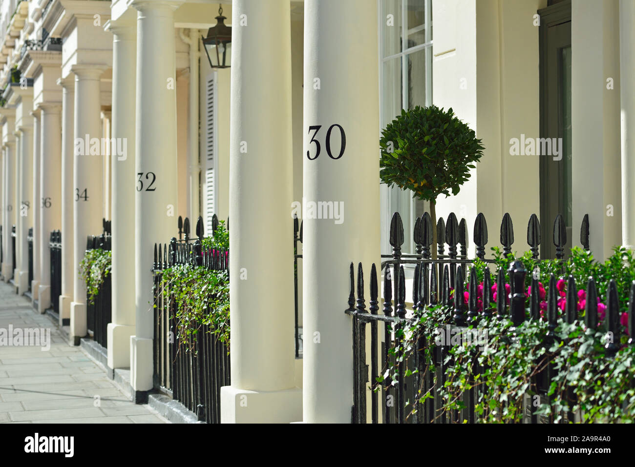 Numeri discendente, stucco di fronte a schiera residenze di lusso, Belgravia, London, Regno Unito Foto Stock