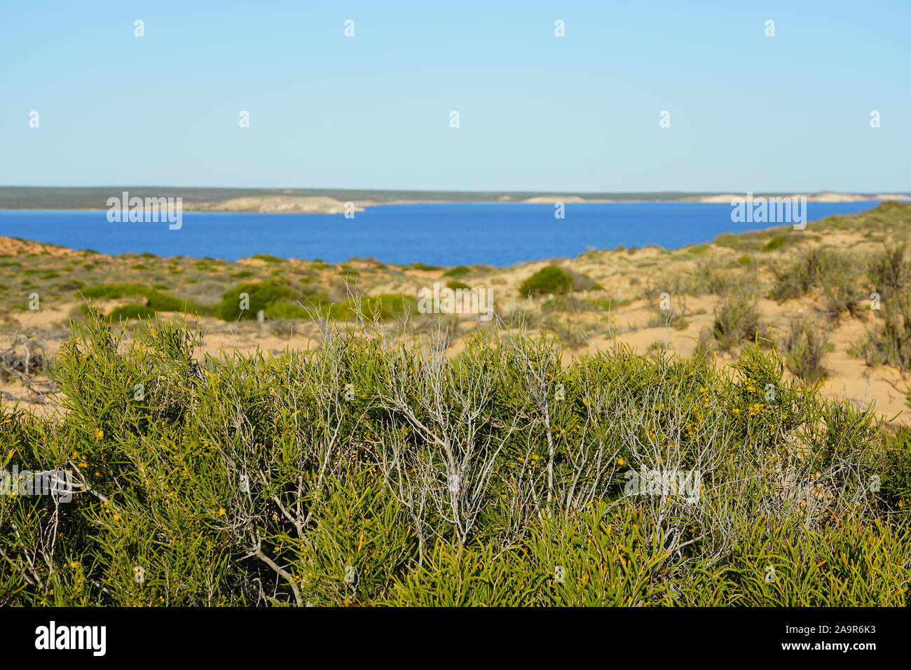 Vista della Eagle Bluff lookout nella Baia degli Squali, Coral Coast, Australia occidentale Foto Stock