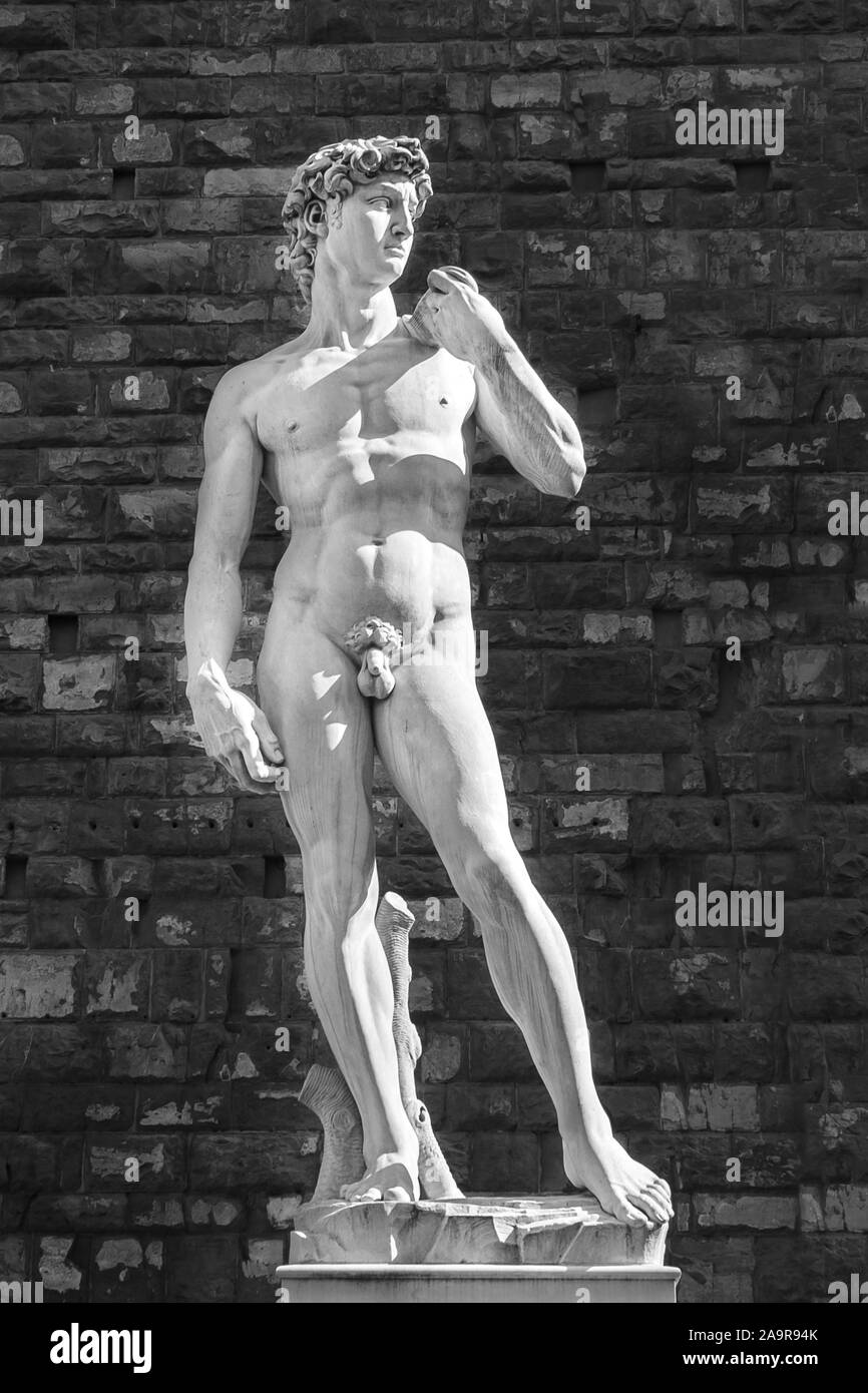 Bianco e nero shot della statua del David, scolpito da Michelangelo Buonarroti intorno al 1500, e conservate a Firenze, Italia Foto Stock