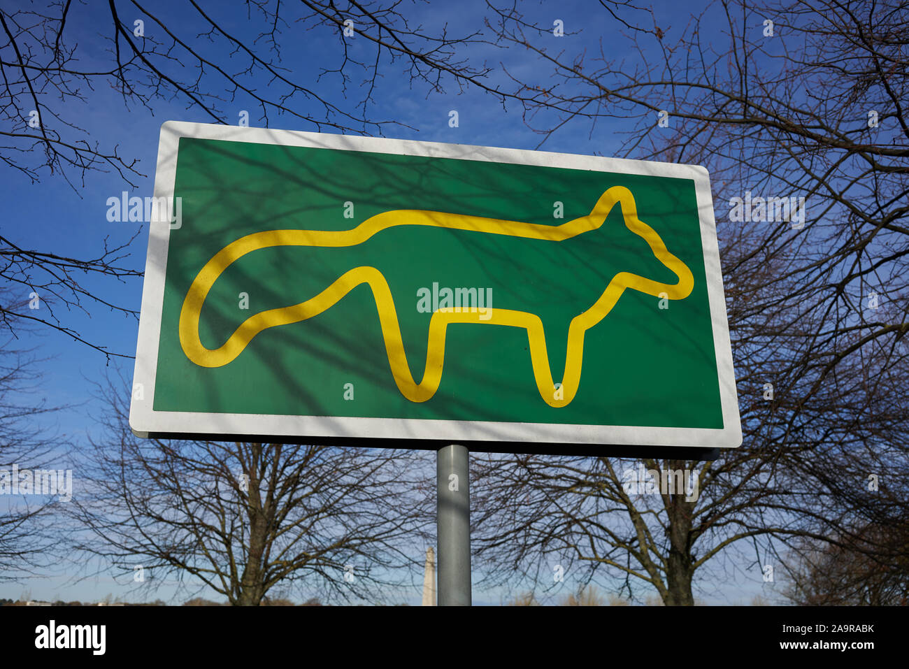 Julian OPIE fox artwork, Ospedale Reale di Kilmainham, Dublino, Irlanda. Foto Stock