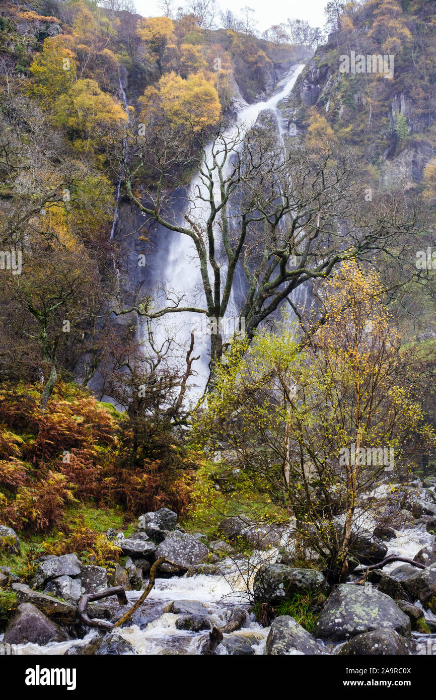 I colori autunnali a Aber cade o Rhaeadr Fawr cascata in Coedydd Aber Parco Nazionale di Snowdonia. Abergwyngregyn Gwynedd Wales UK Gran Bretagna Foto Stock