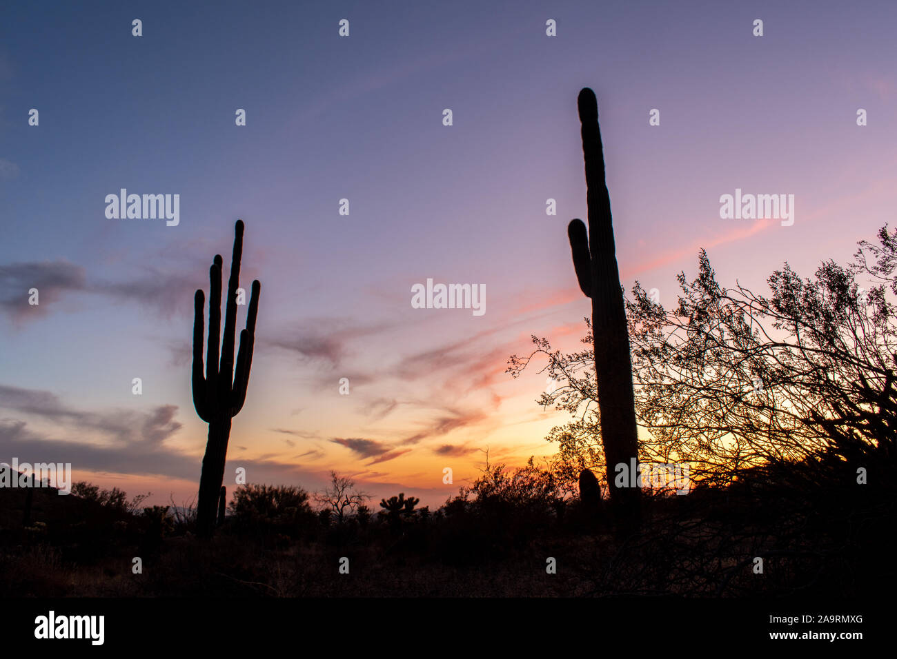 Deserto colorato tramonto Foto Stock