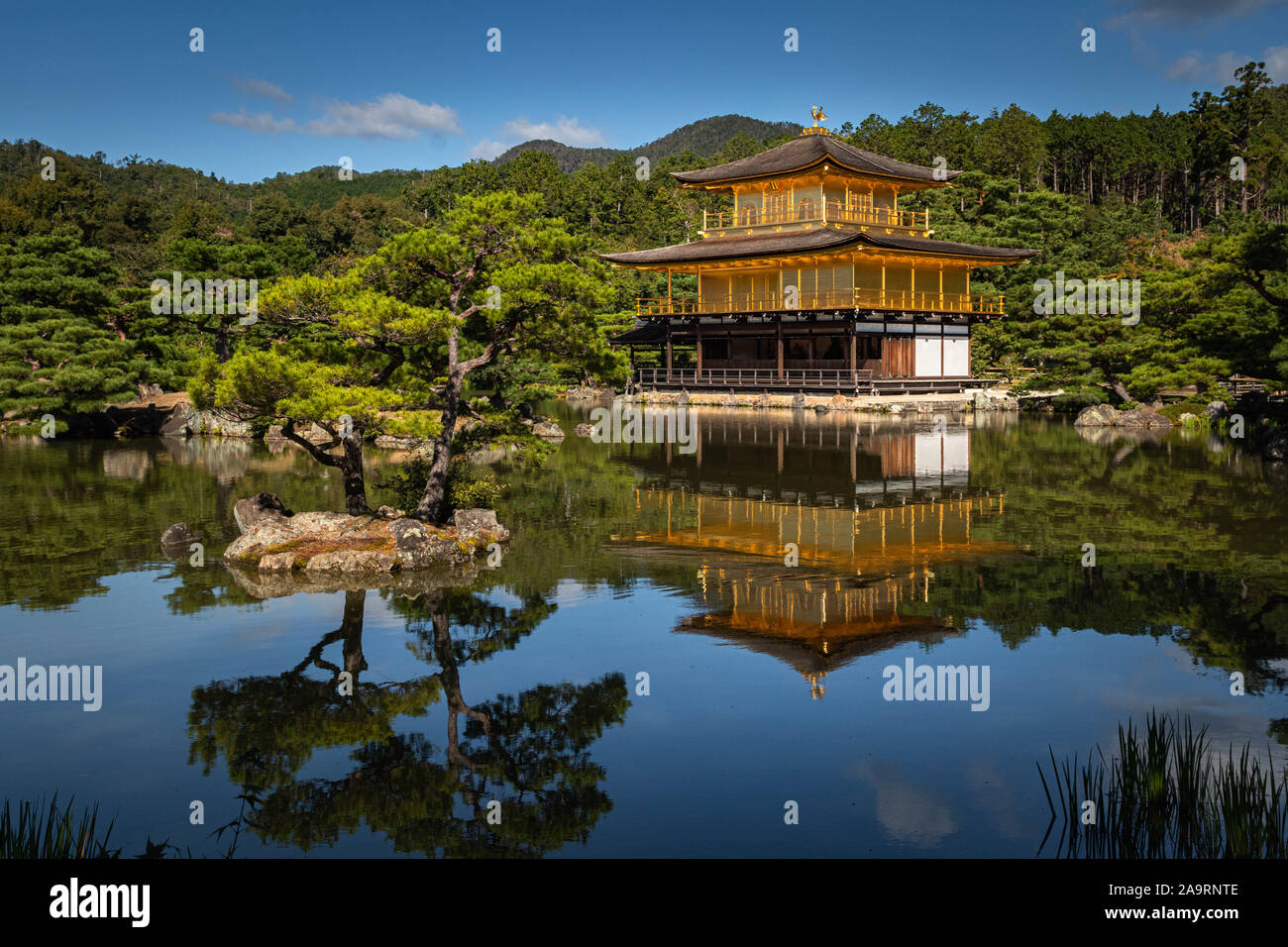 Kinkaku-ji, Kyoto, Giappone Foto Stock