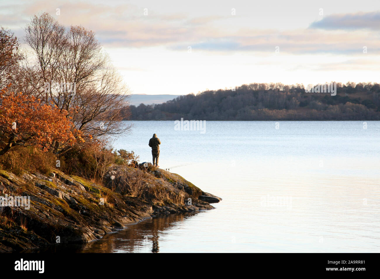 Loch Lomond Scozia, Regno Unito. 17 novembre 2019. Pomeriggio incantevole autunno luce alla Baia Sallochy Loch Lomond. Alan credito Oliver / Alamy Live News Foto Stock