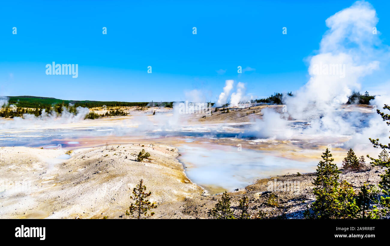 Il crepitio lago nel bacino di porcellana di Norris Geyser Basin area nel Parco Nazionale di Yellowstone in Wyoming, Stati Uniti d'America Foto Stock